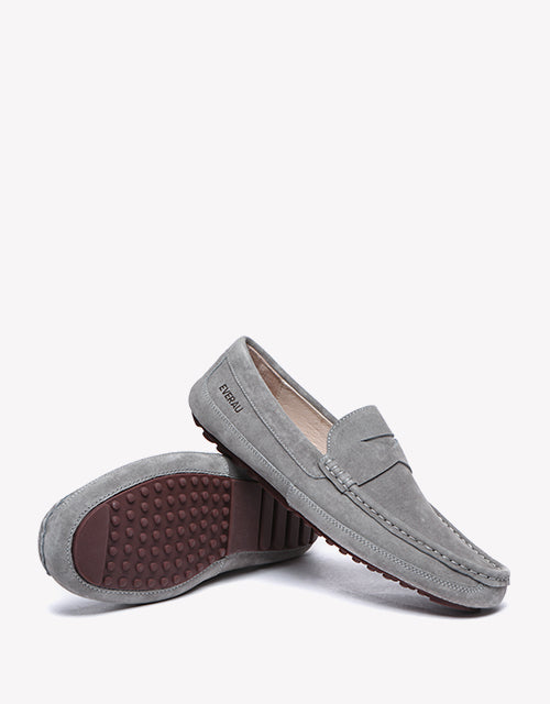 Beau in Grey