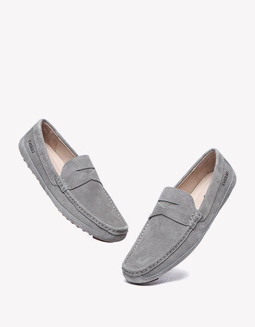 Beau in Grey