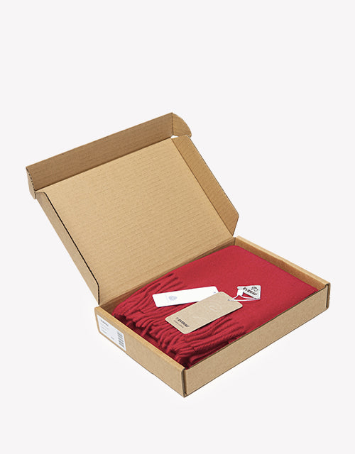 Eva Plain Scarf in Red